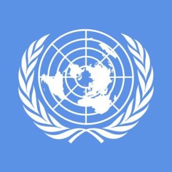 2012 02 Comunicado Grupo de Trabajo ONU
