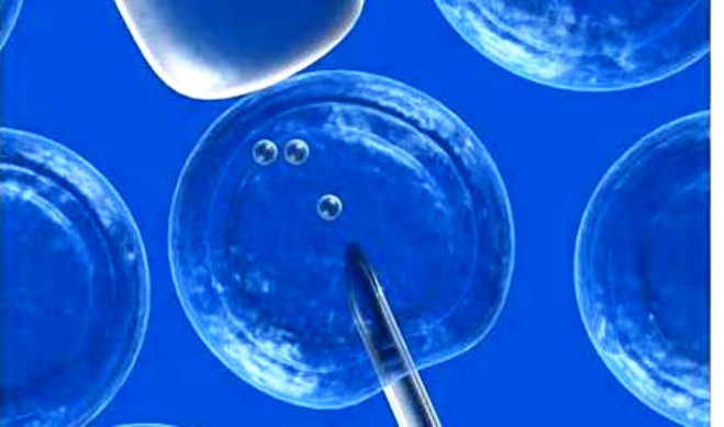 fertilizacion-asistida_260411