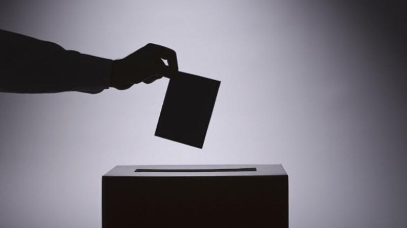 vote