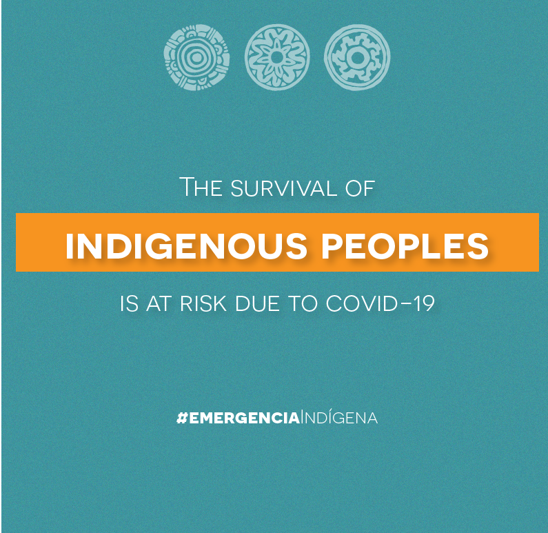 emergenciaindigena_eng