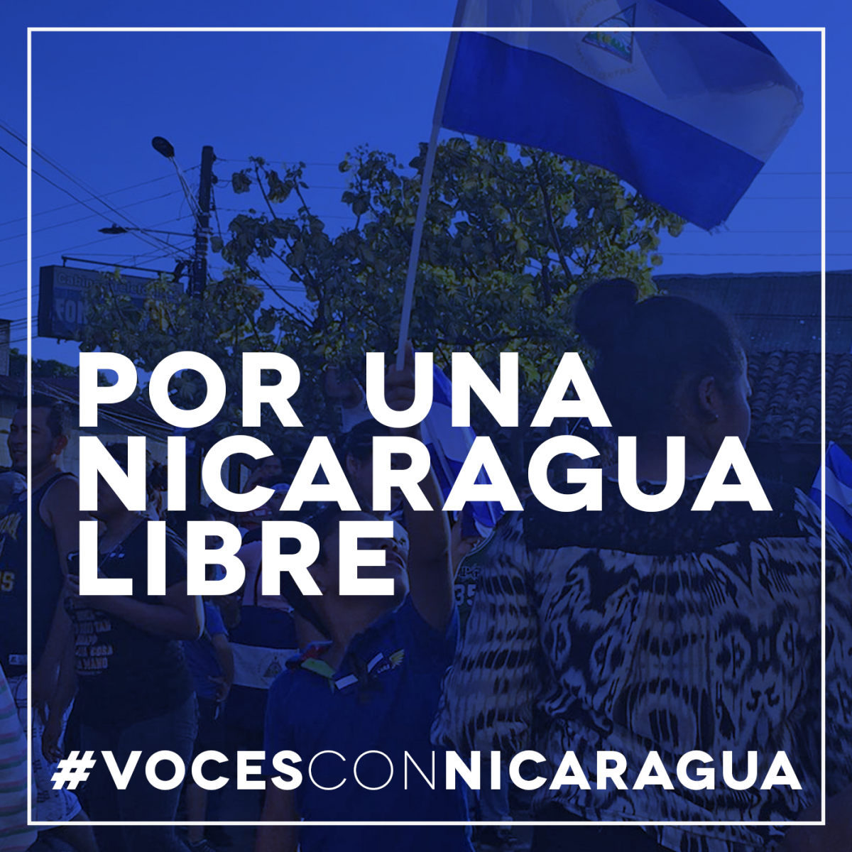 2019_ag_nica