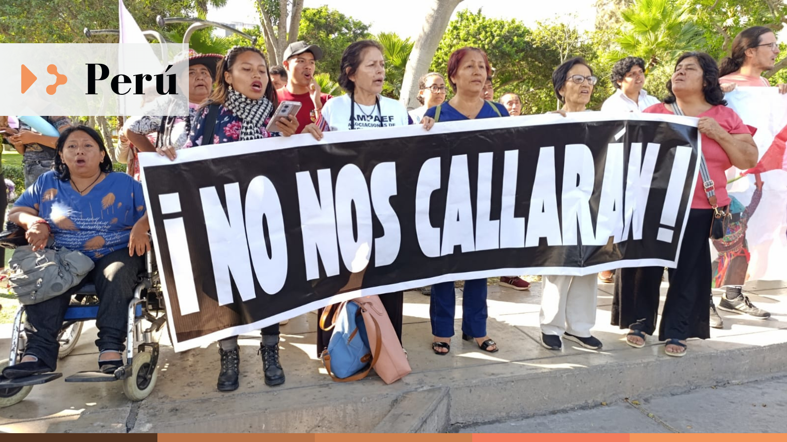 Organizaciones denunciamos ante la CIDH el uso de la Ley APCI como ...